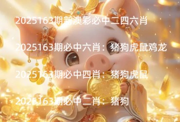 2025163期新澳彩必中二四六肖