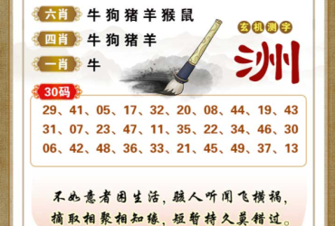 2025080期香港彩九肖30码中特