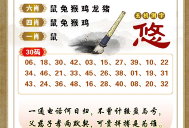2025093期香港彩九肖30码中特